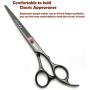 7.0in Titanium Professional Dog Grooming Scissors Set,Straight & Thinning & Curved Scissors 4pcs Set for Dog Grooming (Bright Black)