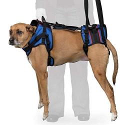 Walkin Lift Full Support Dog Harness for Medium Dogs 50-69 lbs | Lift Support Harness Helps Dogs with Arthritis, Senior Dogs and Pets Recovering from Surgery