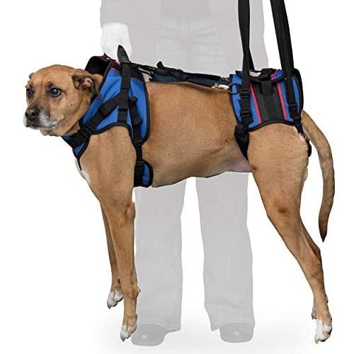 Walkin Lift Full Support Dog Harness for Medium Dogs 50-69 lbs | Lift Support Harness Helps Dogs with Arthritis, Senior Dogs and Pets Recovering from Surgery