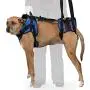 Walkin Lift Full Support Dog Harness for Medium Dogs 50-69 lbs | Lift Support Harness Helps Dogs with Arthritis, Senior Dogs and Pets Recovering from Surgery Walkin Lift Full Support Dog Harness for Medium Dogs 50-69 lbs | Lift Support Harness Helps Dogs with Arthritis, Senior Dogs and Pets Recovering from Surgery