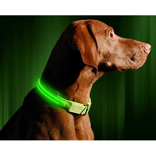 Illumiseen LED Dog Collar - USB Rechargeable - Available in 6 Colors & 6 Sizes - Makes Your Dog Visible, Safe & Seen
