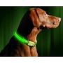 Illumiseen LED Dog Collar - USB Rechargeable - Available in 6 Colors & 6 Sizes - Makes Your Dog Visible, Safe & Seen