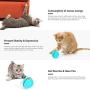 WWVVPET Interactive Cat Toys Ball with LED Light,360 Degree Self Rotating Ball,USB Rechargeable Cat Ball Toy,Stimulate Hunting Instinct Kitten Funny Chaser Roller Pet Toy