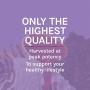 Host Defense, Lions Mane Capsules, Promotes Mental Clarity, Focus and Memory, Daily Mushroom Supplement, Vegan, Organic, 60 Capsules (30 Servings)