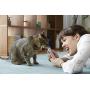 INABA Churu Lickable Purée Natural Cat Treats
