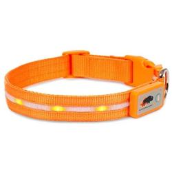 Blazin Safety LED Dog Collar – USB Rechargeable with Water Resistant Flashing Light