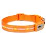 Blazin Safety LED Dog Collar – USB Rechargeable with Water Resistant Flashing Light