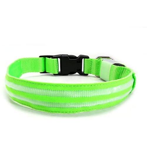 Ocean Place Ltd LED Dog Collar USB Rechargeable Nylon Webbing Flashing Light Up Collar with D-Ring Makes Your Pet Visible Safe and Seen for Medium Large Dogs