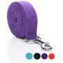 SALO Durable Nylon Dog Leash 6 Feet Long, Walking Training Dog Leashes for Medium Large Dogs, 1 Inch Wide