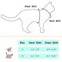 AWOOF Kitten Harness and Leash Escape Proof, Adjustable Cat Kitten Puppy Walking Jacket with Metal Leash Ring, Soft Breathable Small Pet Vest