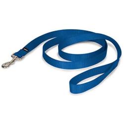 PetSafe Nylon Dog Leash, Strong, Durable, Traditional Style Leash with Easy to Use Bolt Snap - Available in Multiple Widths and Colors