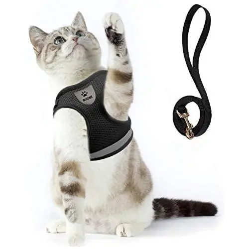 Cat Harness and Leash Set for Walking Cat and Small Dog Harness Soft Mesh Harness Adjustable Cat Vest Harness with Reflective Strap Comfort Fit for Pet Kitten Puppy Rabbit Cat Harness and Leash Set for Walking Cat and Small Dog Harness Soft Mesh Harness Adjustable Cat Vest Harness with Reflective Strap Comfort Fit for Pet Kitten Puppy Rabbit