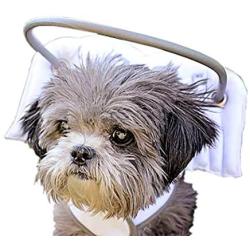 Muffin’s Halo Blind Dog Harness Guide Device – Help for Blind Dogs or Visually Impaired Pets to Avoid Accidents & Build Confidence – Ideal Blind Dog Accessory to Navigate Surroundings