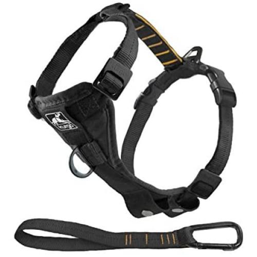 Kurgo Dog Harness | Pet Walking Harness | Car Harness for Dogs | Front D-Ring for No Pull Training | Includes Dog Seat Belt Tether | Tru-Fit Smart Harness | For Small, Medium, & Large Dogs