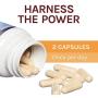 Host Defense, Chaga Capsules, Antioxidant and DNA Support, Daily Mushroom Supplement, Vegan, Organic, 60 Capsules (30 Servings)