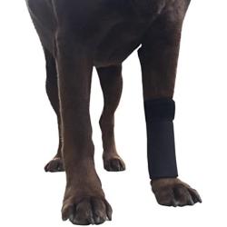 Labra Co. Dog Canine Front Leg Compression Brace Wrap Sleeve Protects Wounds Brace Heals and Prevents Injuries and Sprains Helps with Loss of Stability Caused by Arthritis