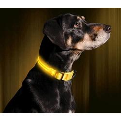 Illumiseen LED Dog Collar - USB Rechargeable - Available in 6 Colors & 6 Sizes - Makes Your Dog Visible, Safe & Seen