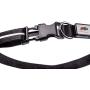 Blazin Safety LED Dog Collar – USB Rechargeable with Water Resistant Flashing Light