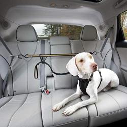 Kurgo Direct to Seatbelt Tether for Dogs | Car Seat Belt for Pets | Adjustable Dog Safety Belt Leash | Quick & Easy Installation | Works with Any Pet Harness | Carabiner | Swivel | Bungee | Zipline