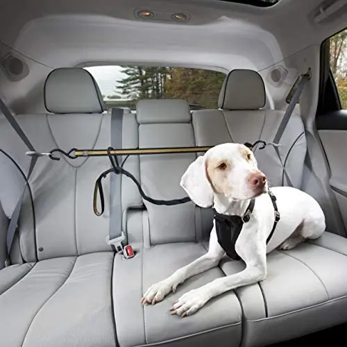 Kurgo Direct to Seatbelt Tether for Dogs | Car Seat Belt for Pets | Adjustable Dog Safety Belt Leash | Quick & Easy Installation | Works with Any Pet Harness | Carabiner | Swivel | Bungee | Zipline Kurgo Direct to Seatbelt Tether for Dogs | Car Seat Belt for Pets | Adjustable Dog Safety Belt Leash | Quick & Easy Installation | Works with Any Pet Harness | Carabiner | Swivel | Bungee | Zipline