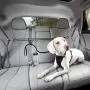 Kurgo Direct to Seatbelt Tether for Dogs | Car Seat Belt for Pets | Adjustable Dog Safety Belt Leash | Quick & Easy Installation | Works with Any Pet Harness | Carabiner | Swivel | Bungee | Zipline Kurgo Direct to Seatbelt Tether for Dogs | Car Seat Belt for Pets | Adjustable Dog Safety Belt Leash | Quick & Easy Installation | Works with Any Pet Harness | Carabiner | Swivel | Bungee | Zipline
