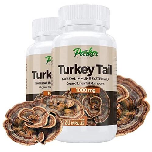 Premium Organic Turkey Tail Mushroom Capsules by Parker Naturals Supports Immune System Health. Natures Original Superfood. 120 Capsules …