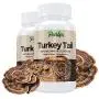 Premium Organic Turkey Tail Mushroom Capsules by Parker Naturals Supports Immune System Health. Natures Original Superfood. 120 Capsules … Premium Organic Turkey Tail Mushroom Capsules by Parker Naturals Supports Immune System Health. Natures Original Superfood. 120 Capsules …