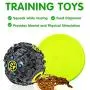 SHARLOVY Dog Chew Toys for Puppies Teething, 14 Pack Dog Rope Toys Tug of War Dog Toy Bundle Toothbrush iq Treat Ball Squeaky Rubber Bone Durable Dog Chew Toys for Small Dogs Pet Toys Puppy Toys