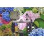 Universal Video Rig System for Vertical and Horizontal Shooting with Any Smartphone DREAMGRIP Scout XM with Patented Track Connector for External Lights, Mic and Another Photo/Video Accessories