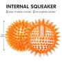 Squeaky Balls for Dogs Small, Fetch Balls for Dogs Rubber 6 Pack Bright Colors TPR Puppy Toys Dog Toy Balls Dog Squeaky Toys Spike Ball Dog Chew Toys for Small Dogs Pet Toys for Puppy Teething Toys