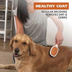 WAHL Premium Pet Double Sided Pin Bristle Brush with Patented Stacked Pin Design to Remove Loose Hair Plus Stimulate The Skin While Creating a Soft Coat Shine, Orange/White (858501)