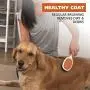 WAHL Premium Pet Double Sided Pin Bristle Brush with Patented Stacked Pin Design to Remove Loose Hair Plus Stimulate The Skin While Creating a Soft Coat Shine, Orange/White (858501) WAHL Premium Pet Double Sided Pin Bristle Brush with Patented Stacked Pin Design to Remove Loose Hair Plus Stimulate The Skin While Creating a Soft Coat Shine, Orange/White (858501)
