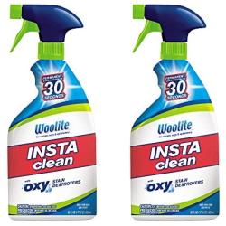 Woolite INSTAclean Permanent Stain Remover, 22oz (Pack of 2), 21799