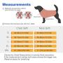 ThinkPet No Pull Harness Breathable Sport Harness with Handle - Reflective Padded Dog Safety Vest Adjustable Harness, Back/Front Clip for Easy Control