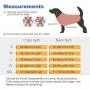 ThinkPet No Pull Harness Breathable Sport Harness with Handle - Reflective Padded Dog Safety Vest Adjustable Harness, Back/Front Clip for Easy Control ThinkPet No Pull Harness Breathable Sport Harness with Handle - Reflective Padded Dog Safety Vest Adjustable Harness, Back/Front Clip for Easy Control