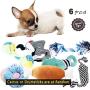 BUIBIIU Dog/Puppy Teething Toys, Assorted Chew Toys, 6 ct