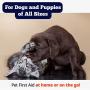 American Pet Supplies Pet First Aid Kid for Puppies and Dogs American Pet Supplies Pet First Aid Kid for Puppies and Dogs