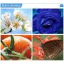 Camera Lens Kit for iPhone Samsung and Other Smartphone, with Wide Angle Lens and Macro Lens