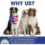 Green Butterfly Brands Beef Dog Treats – Made in USA Only – All Natural, Meaty Beef Tips – Premium Slow Roasted American Beef – Grass Fed, Farm Raised – Crunchy, Grain Free Training Treat, 8 Ounces