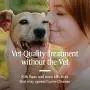 PetArmor for Dogs, Flea and Tick Treatment for Large Dogs (45-88 Pounds), Includes 3 Month Supply of Topical Flea Treatments PetArmor for Dogs, Flea and Tick Treatment for Large Dogs (45-88 Pounds), Includes 3 Month Supply of Topical Flea Treatments
