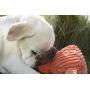 HuggleHounds Plush Corduroy Durable Squeaky Knottie Dog Toyfor Aggressive Chewers