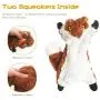 FIREOR Dog Squeaky Toys, No Stuffing Plush Pet Chew Toy for Small Medium Large Puppy, 5 Pack Two Squeaky Cute Animals (Raccoon Squirrel Tiger Fox and Lion)