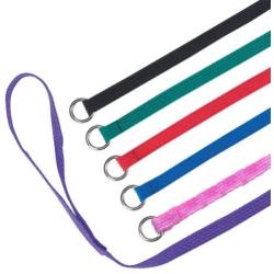 Downtown Pet Supply Slip Leads, Kennel Leads with O Ring for Dog Pet Animal Control Grooming, Shelter, Rescues, Vet, Veterinarian, Doggy Daycare - 4 Foot Length x 1/2 inch Width