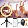 Selfie Ring Light with Tripod Stand and Phone Holder, 9"Dimmable Desktop LED Circle Light Ringlight for Live Stream, Makeup, YouTube, Video Shooting with Remote Control, 3 Light Modes & 10 Brightness Selfie Ring Light with Tripod Stand and Phone Holder, 9"Dimmable Desktop LED Circle Light Ringlight for Live Stream, Makeup, YouTube, Video Shooting with Remote Control, 3 Light Modes & 10 Brightness