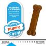 Nylabone Puppy Chew & Dura Chew Peanut Butter Bone Twin Pack Dog Toy