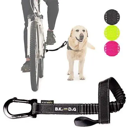 BIKE AND DOG Leash: Designed to take one or More Dogs with a Bicycle. Patented Product. BIKE AND DOG Leash: Designed to take one or More Dogs with a Bicycle. Patented Product.