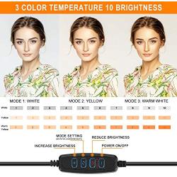 Selfie Ring Light with Tripod Stand and Phone Holder, 9&quotDimmable Desktop LED Circle Light Ringlight for Live Stream, Makeup, YouTube, Video Shooting with Remote Control, 3 Light Modes & 10 Brightness
