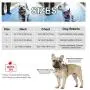 Petacc Dog Harness No-Pull Pet Harness Adjustable Pet Reflective Vest Dog Walking Harness with D-Ring Buckle and Handle for Small Medium Large Dogs Petacc Dog Harness No-Pull Pet Harness Adjustable Pet Reflective Vest Dog Walking Harness with D-Ring Buckle and Handle for Small Medium Large Dogs