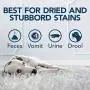 Simple Solution Oxy Charged Pet Stain and Odor Remover | Eliminates Pet Stains and Odors with 3X Cleaning Power