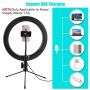 Ring Light,10.2" LED Ring Light with Stand and Phone Holder,Desktop Ring Light for Phone,3 Light Modes 10 Brightness,Dimmable Beauty Fill Ringlight for YouTube Video/Live Stream/Makeup/Photography